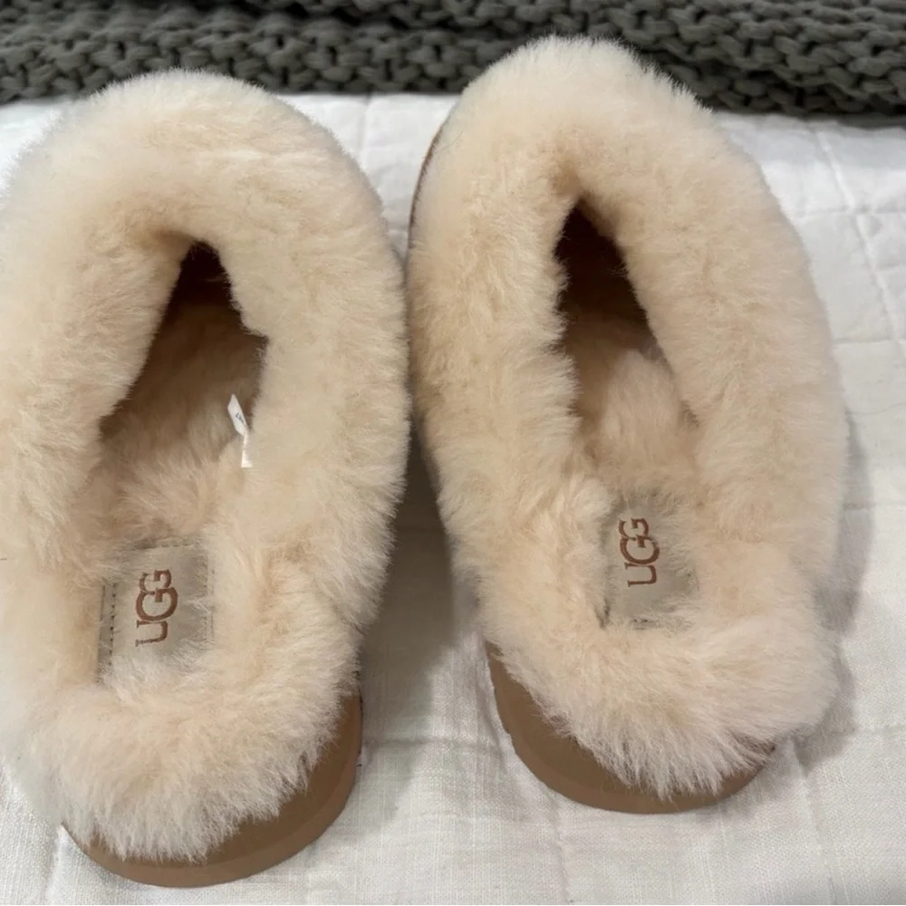UGG Disquette Slipper - Picture 2 of 2